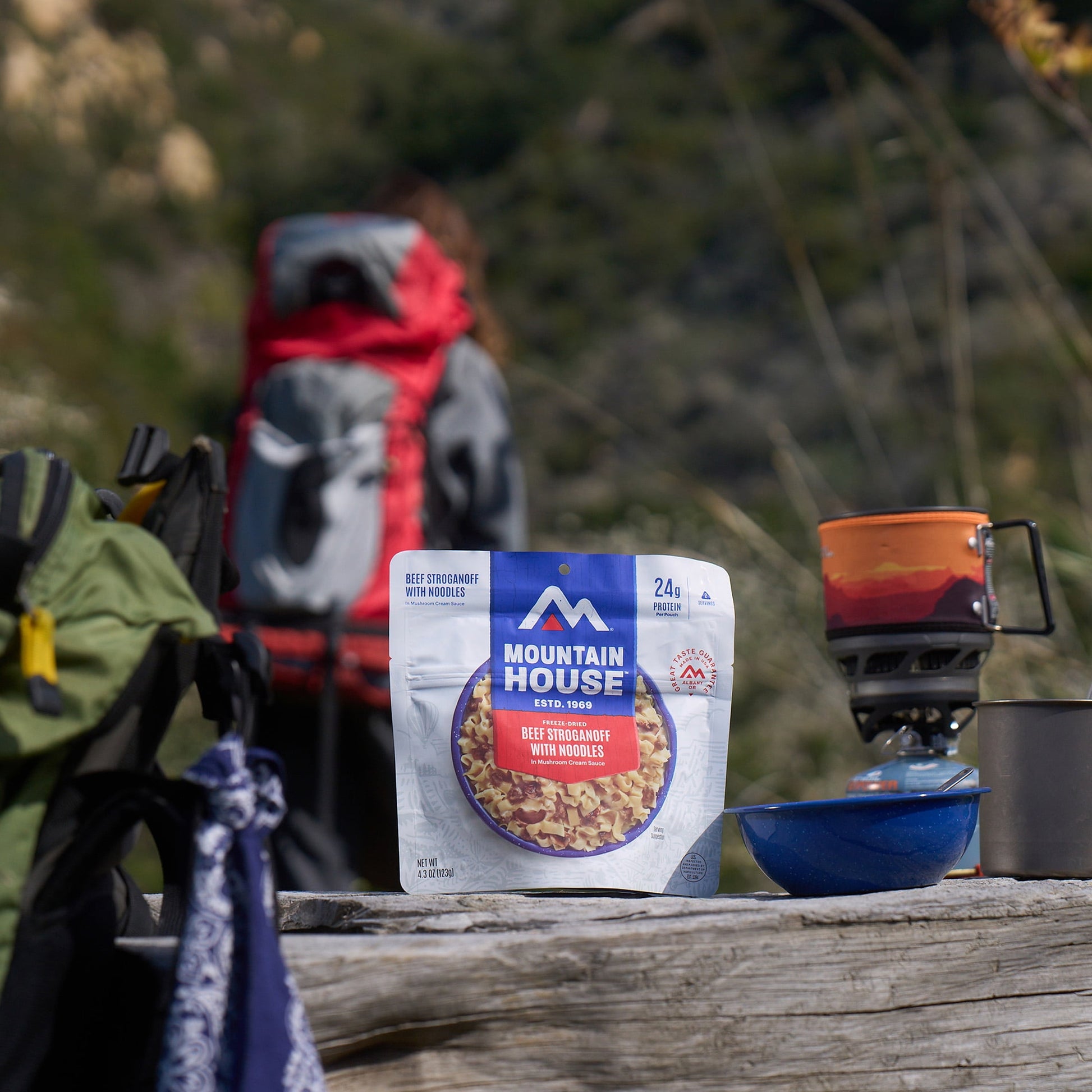 Beef Stroganoff W/Noodles, Freeze-Dried Food, 2 Servings, Not Gluten Free