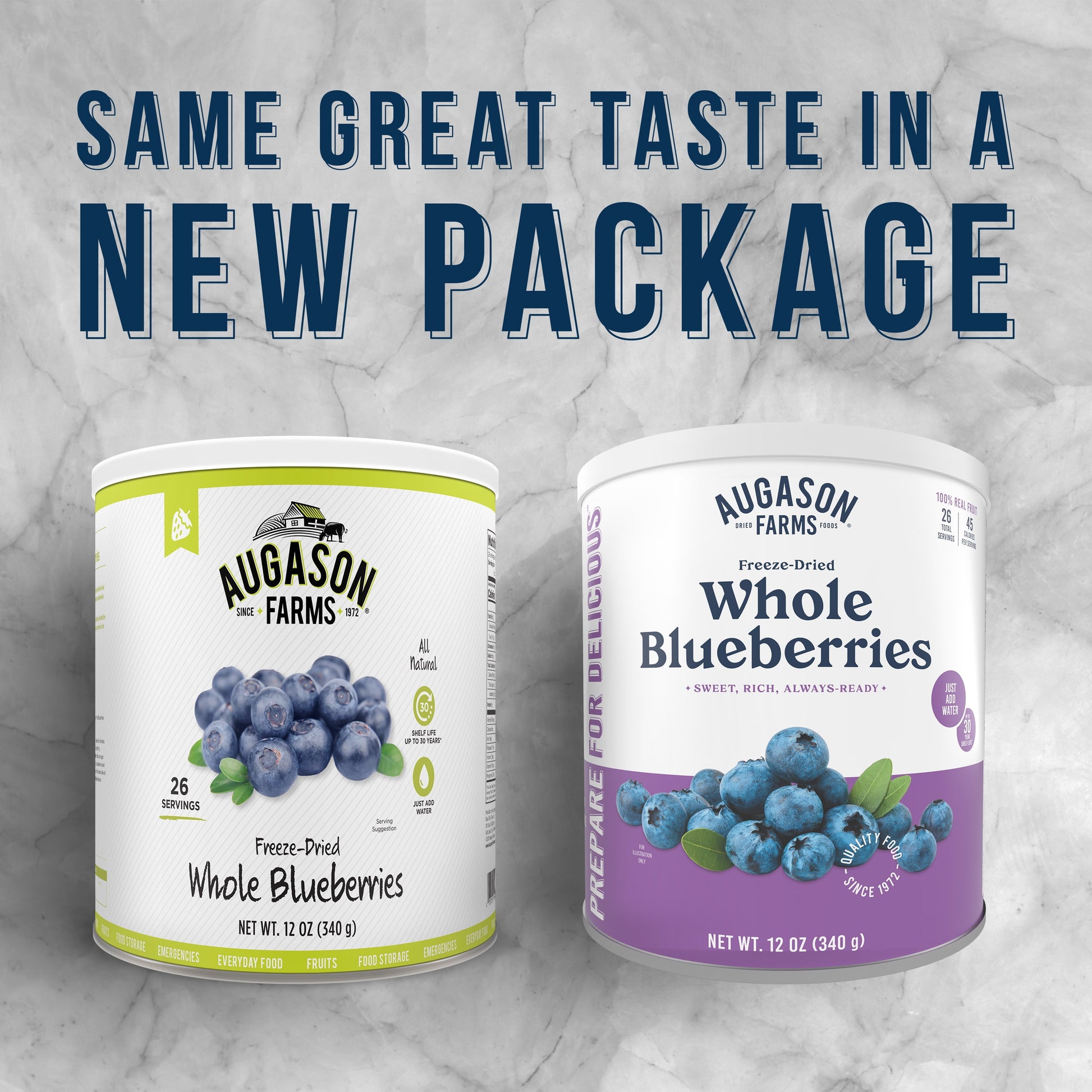 Freeze Dried Whole Blueberries 12 Oz No. 10 Can