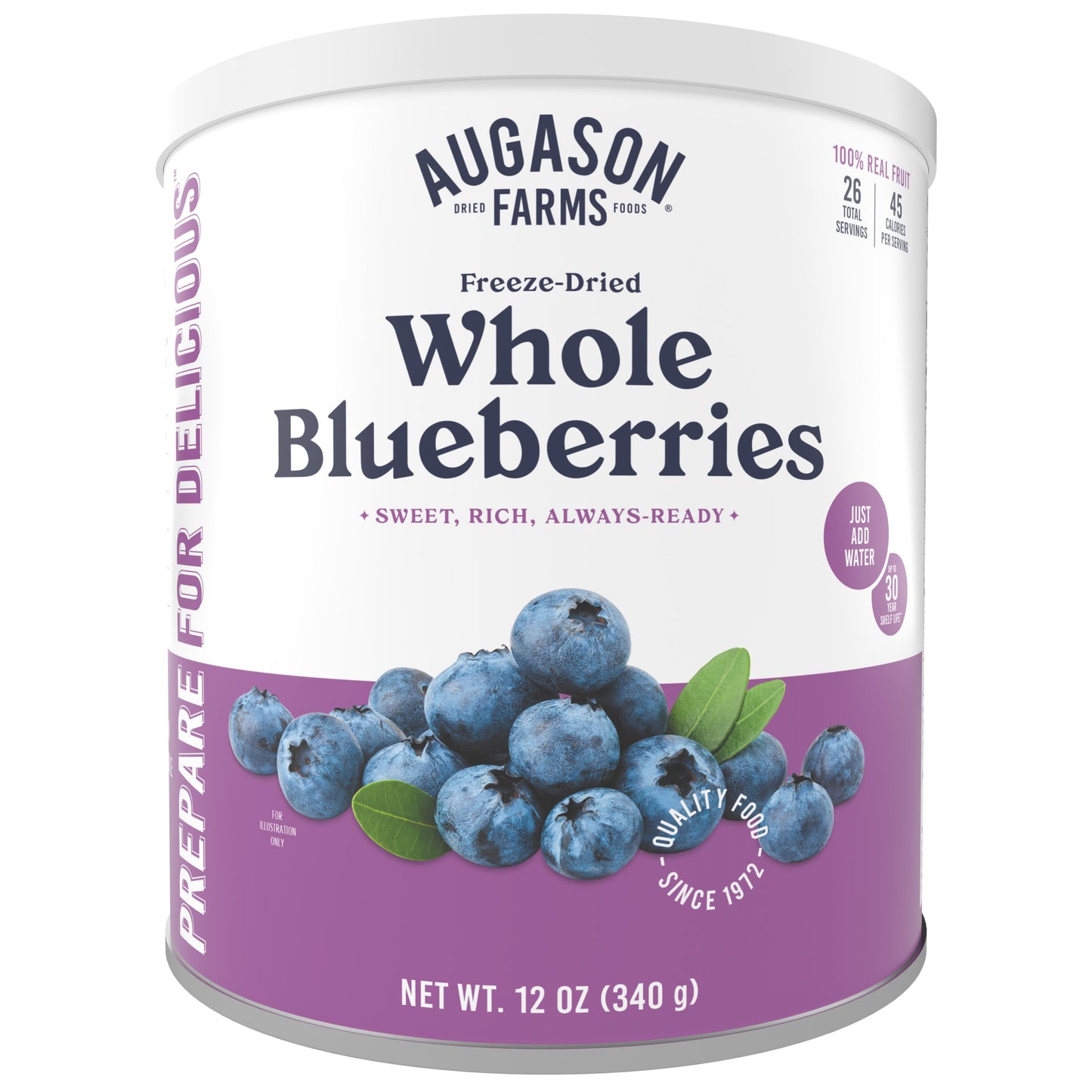 Freeze Dried Whole Blueberries 12 Oz No. 10 Can